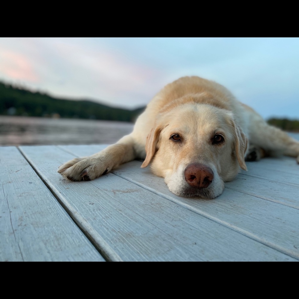 Meet your Posher, Sara